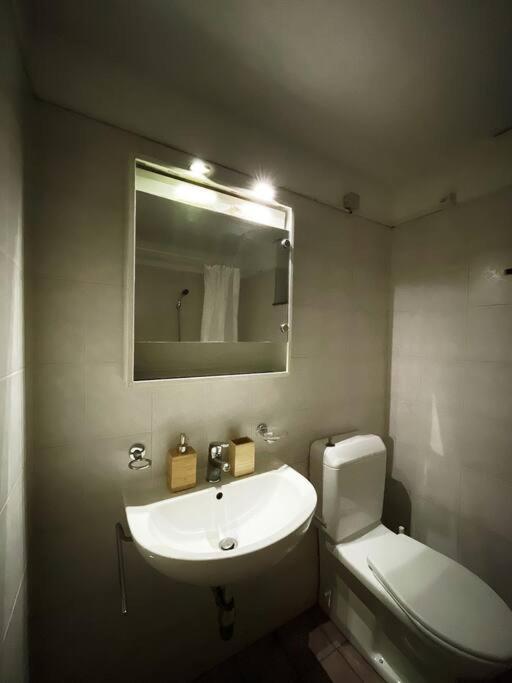 Gotthard House Apartment Lugano Ngoại thất bức ảnh